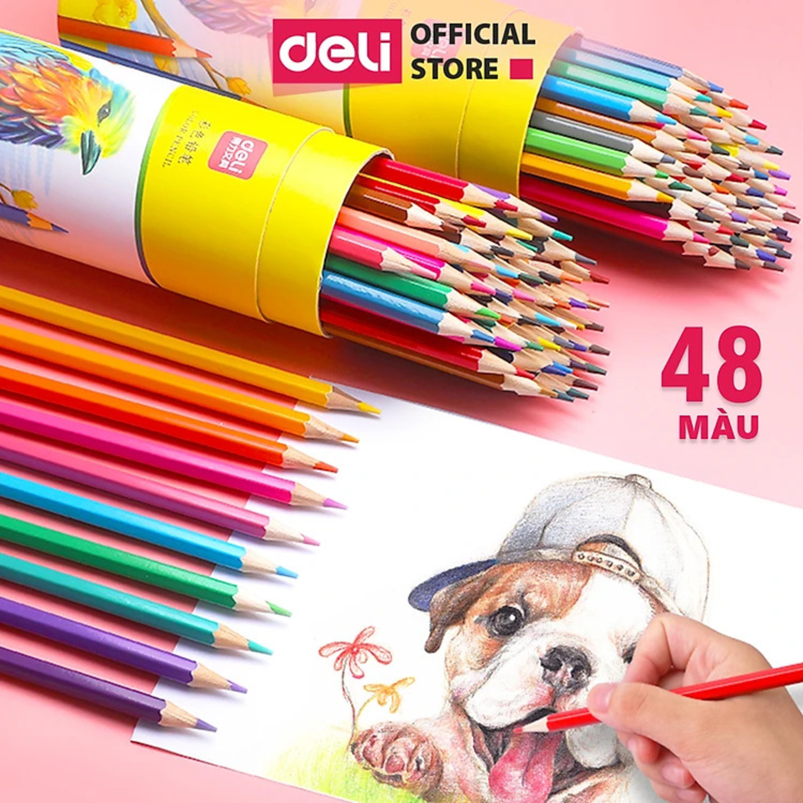 Bút chì màu dạng cốc Deli 